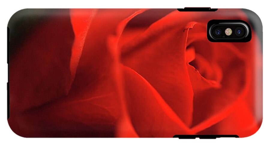 Red Rose With Veins - Phone Case