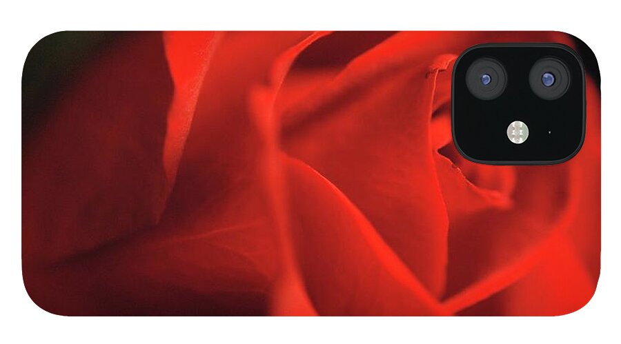 Red Rose With Veins - Phone Case