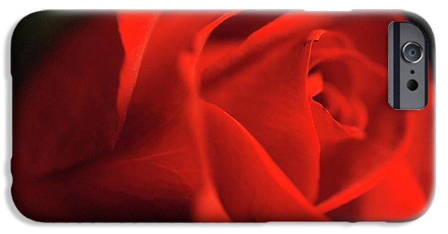 Red Rose With Veins - Phone Case