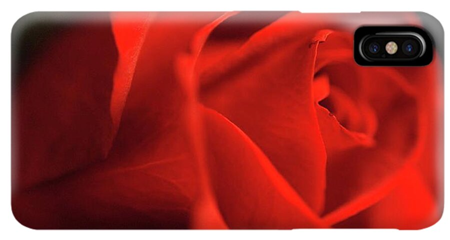 Red Rose With Veins - Phone Case