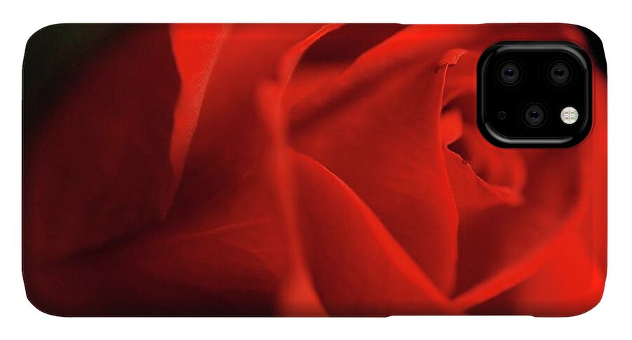 Red Rose With Veins - Phone Case