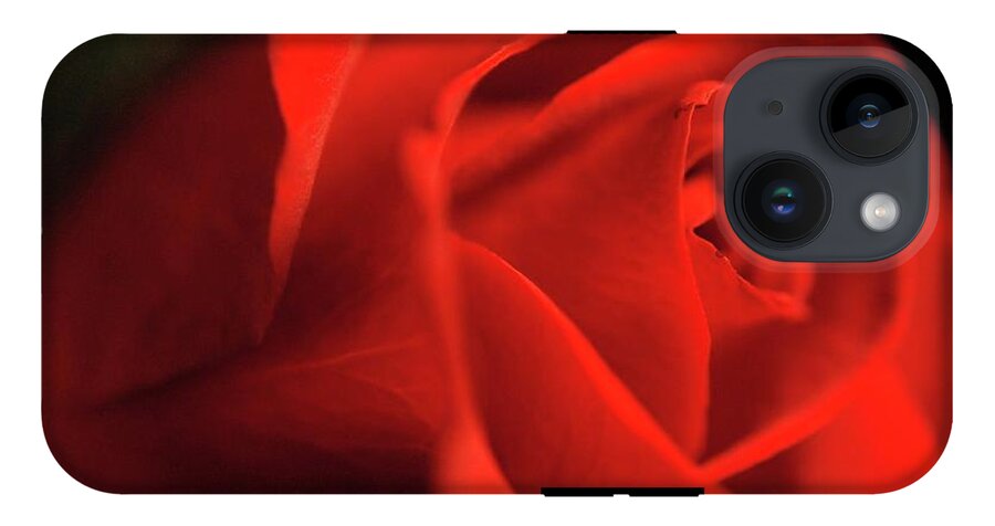 Red Rose With Veins - Phone Case