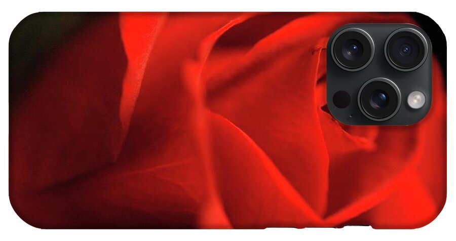 Red Rose With Veins - Phone Case