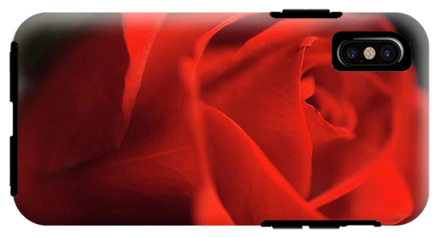 Red Rose With Veins - Phone Case