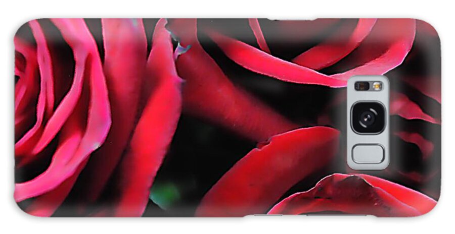 Red Roses 4 - Phone Case