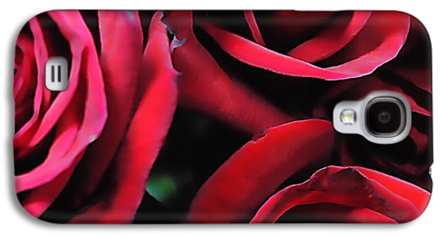 Red Roses 4 - Phone Case