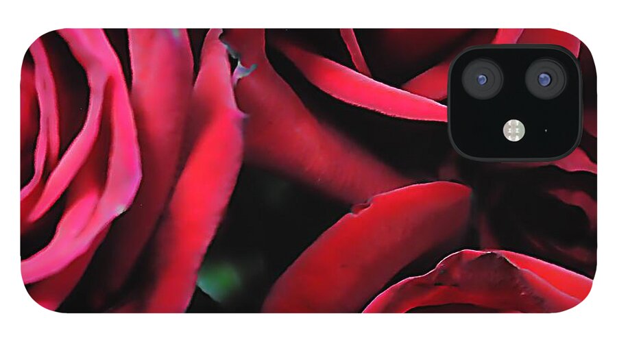 Red Roses 4 - Phone Case