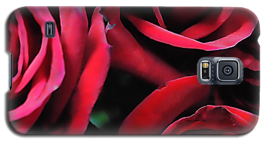 Red Roses 4 - Phone Case