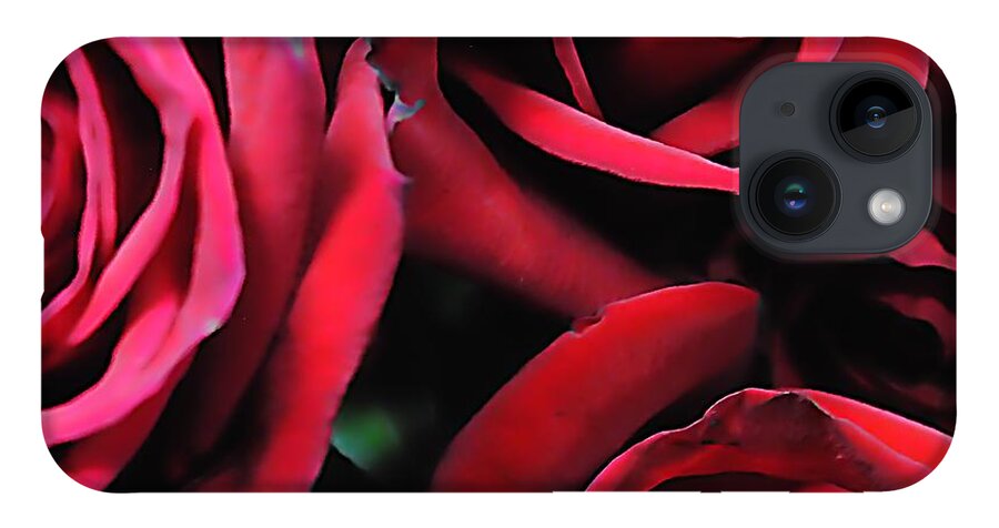 Red Roses 4 - Phone Case