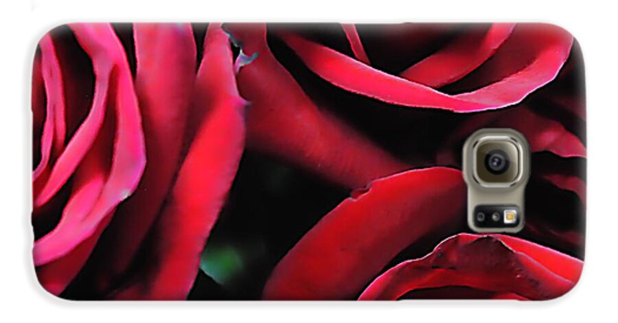 Red Roses 4 - Phone Case