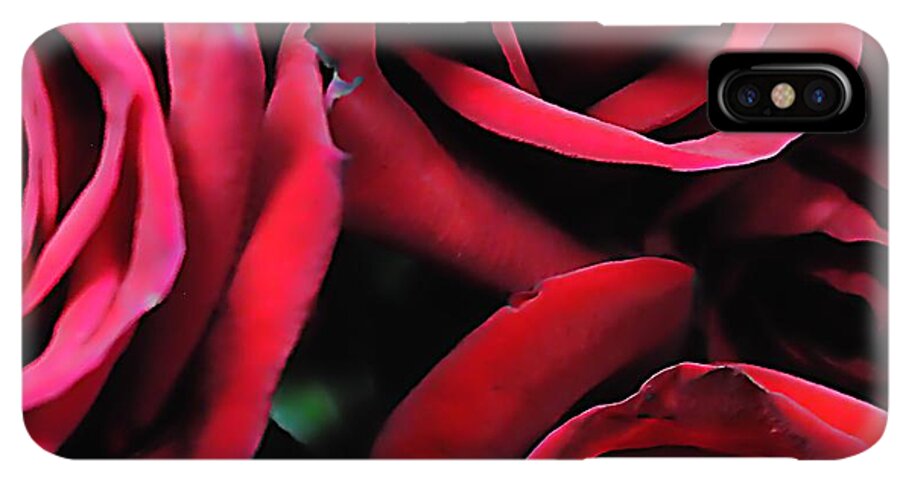 Red Roses 4 - Phone Case