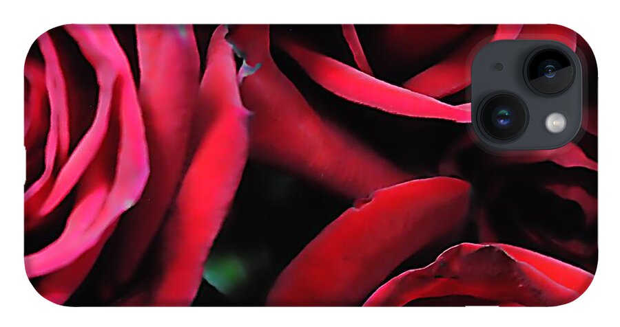 Red Roses 4 - Phone Case