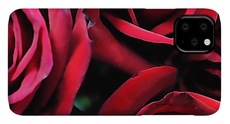 Red Roses 4 - Phone Case