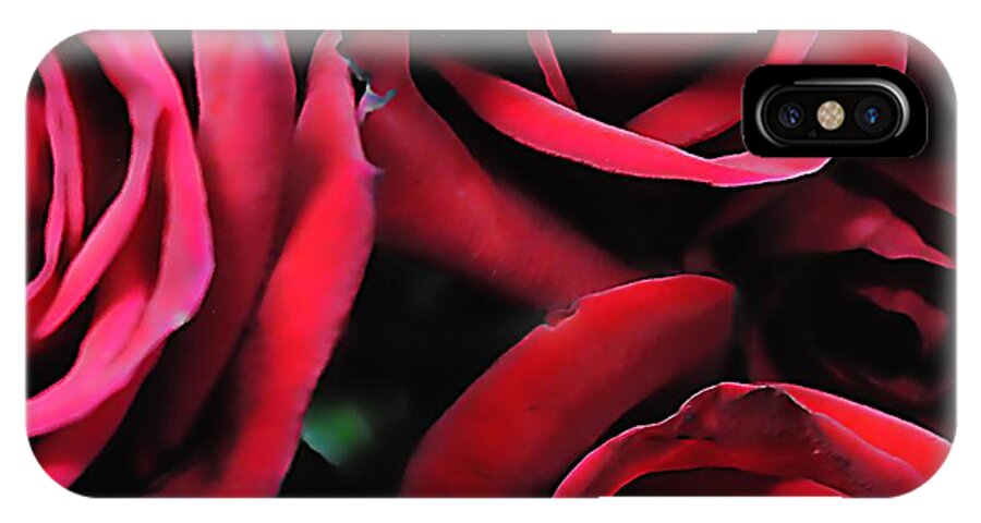 Red Roses 4 - Phone Case