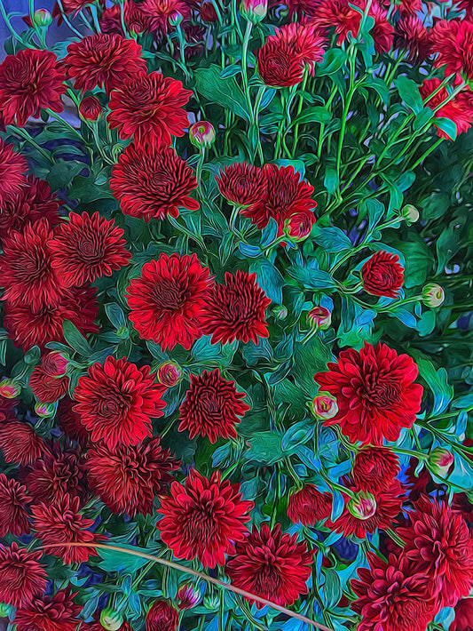 Red Mums Digital Image Download