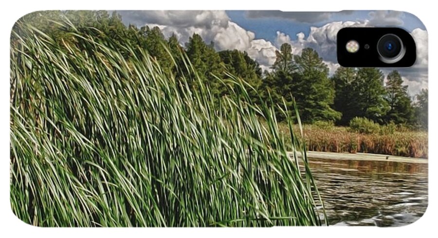 Reeds Along a Campground Lake - Phone Case