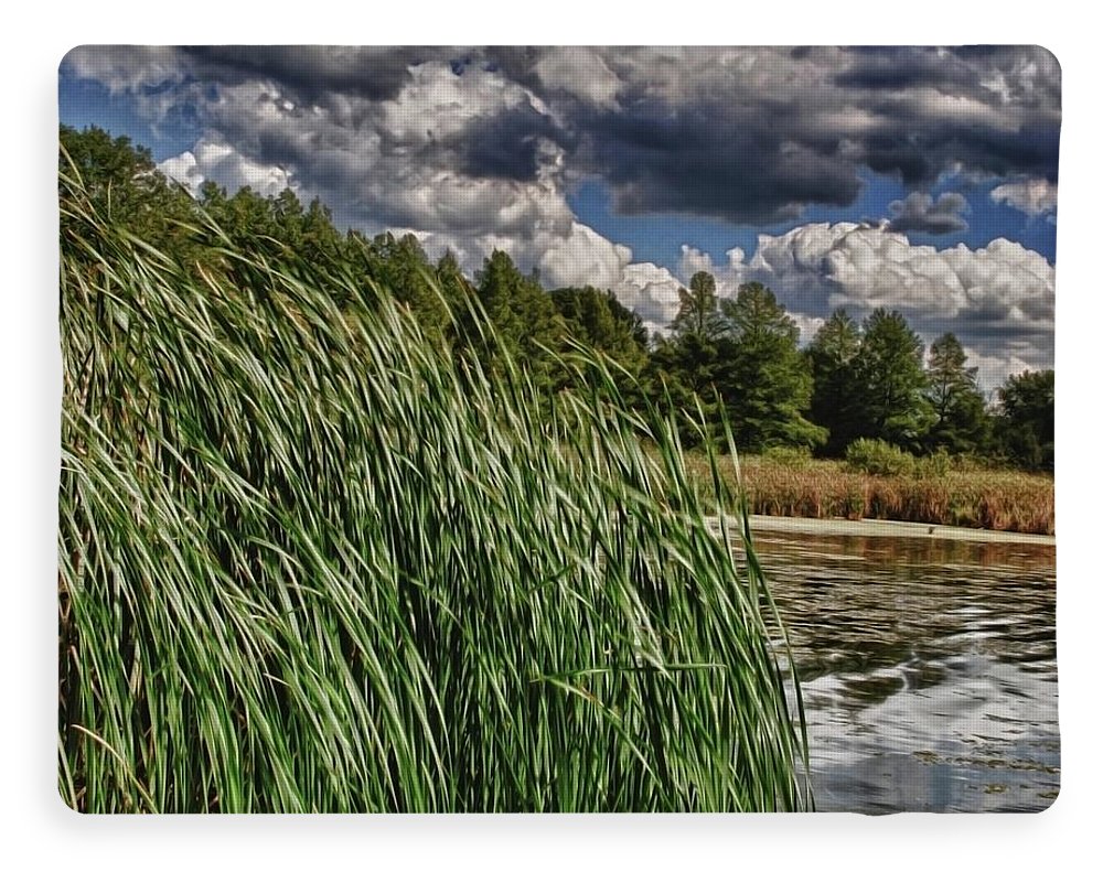Reeds Along a Campground Lake - Blanket