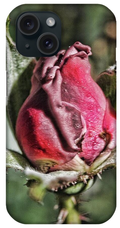 Rosebud In The Morning - Phone Case