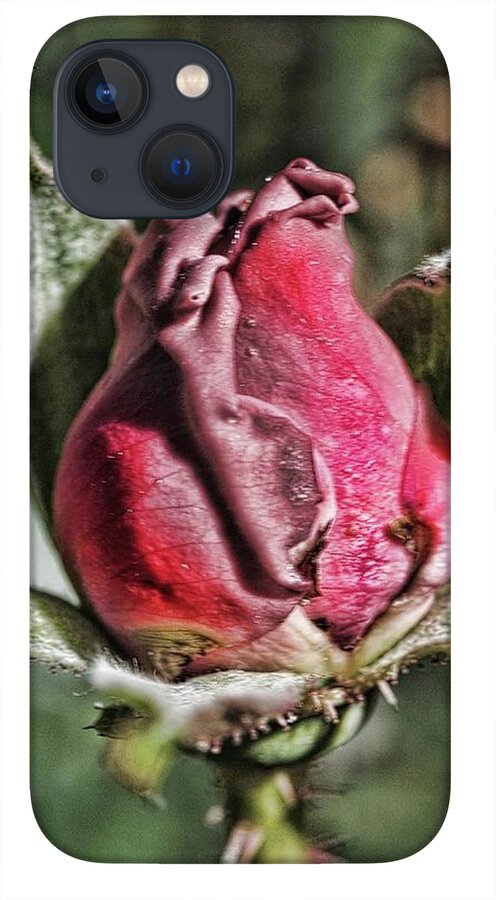 Rosebud In The Morning - Phone Case