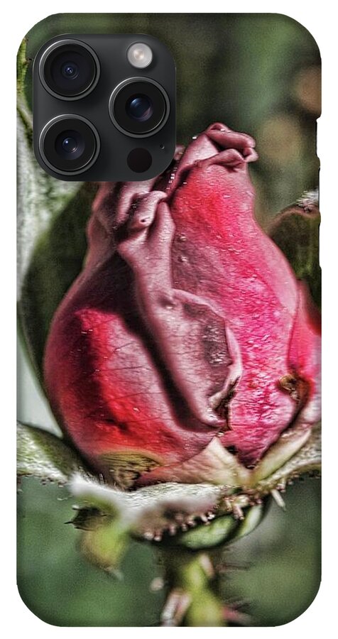 Rosebud In The Morning - Phone Case