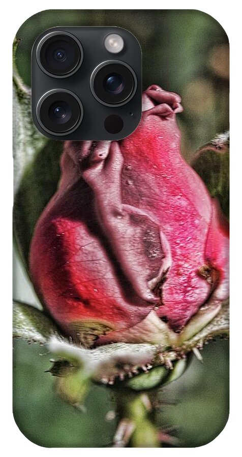 Rosebud In The Morning - Phone Case
