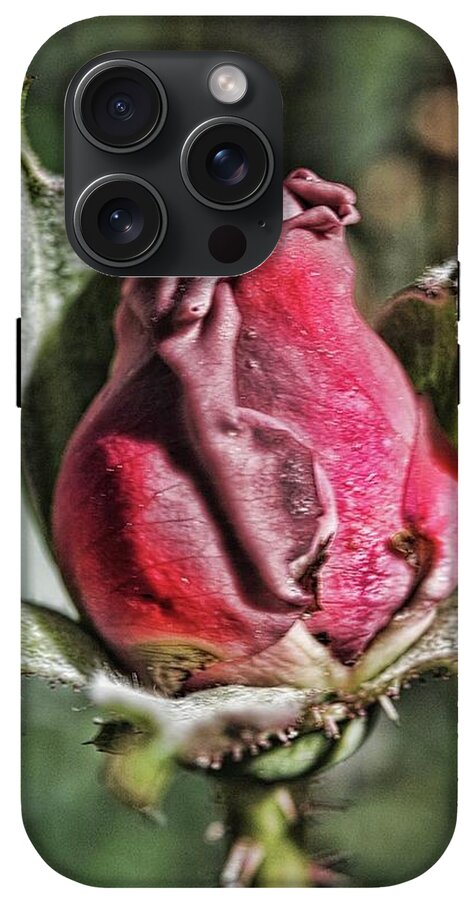 Rosebud In The Morning - Phone Case