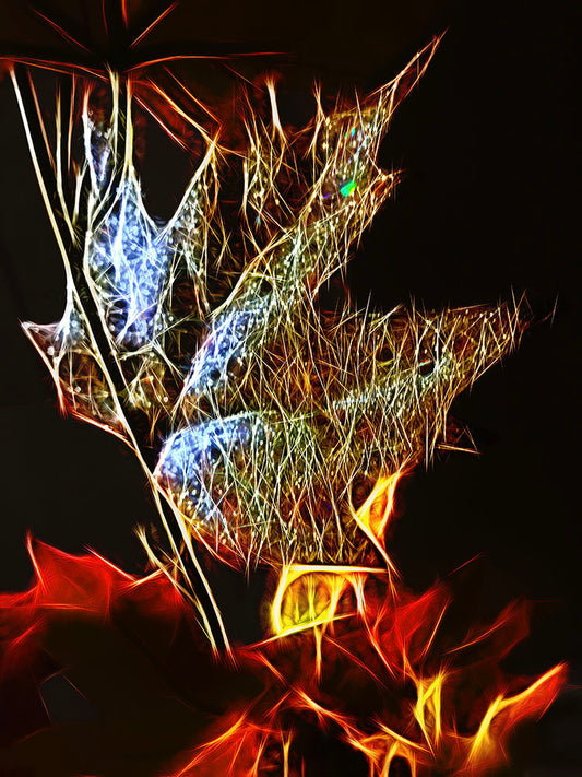 Shinning Fall leaf Digital Image Download