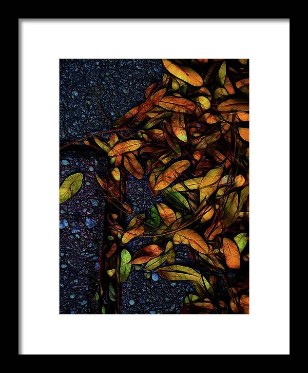 Sidewalk Leaves in Brick - Framed Print