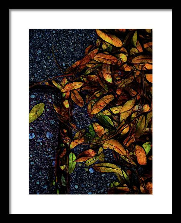 Sidewalk Leaves in Brick - Framed Print