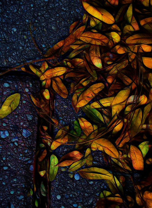 Sidewalk Leaves In Brick Digital Image Download
