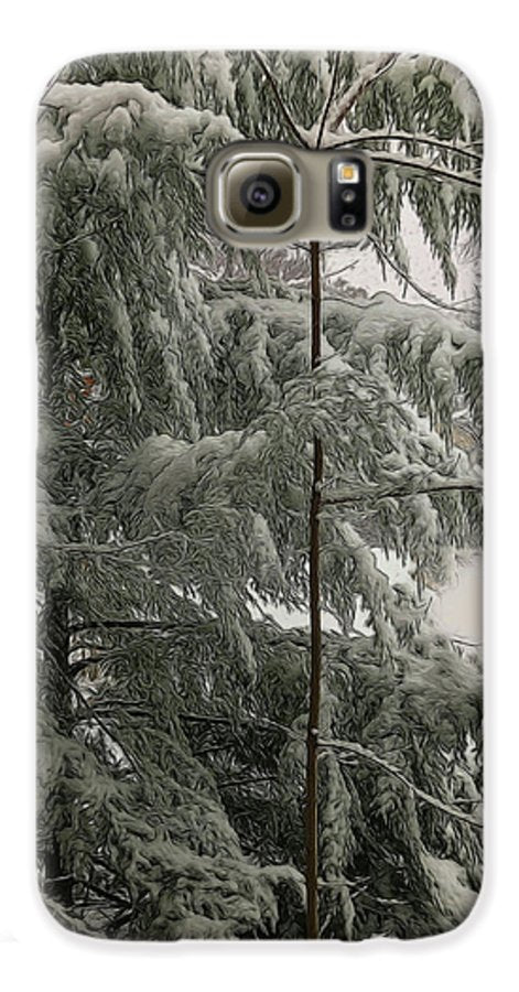 Snow Covered Pine Tree - Phone Case