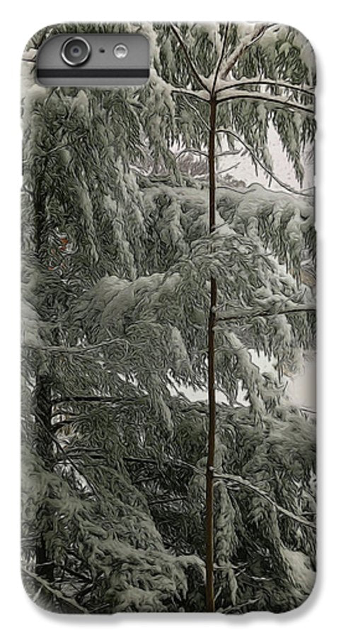 Snow Covered Pine Tree - Phone Case