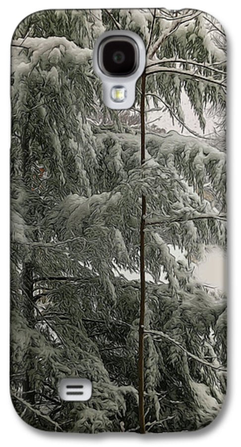 Snow Covered Pine Tree - Phone Case