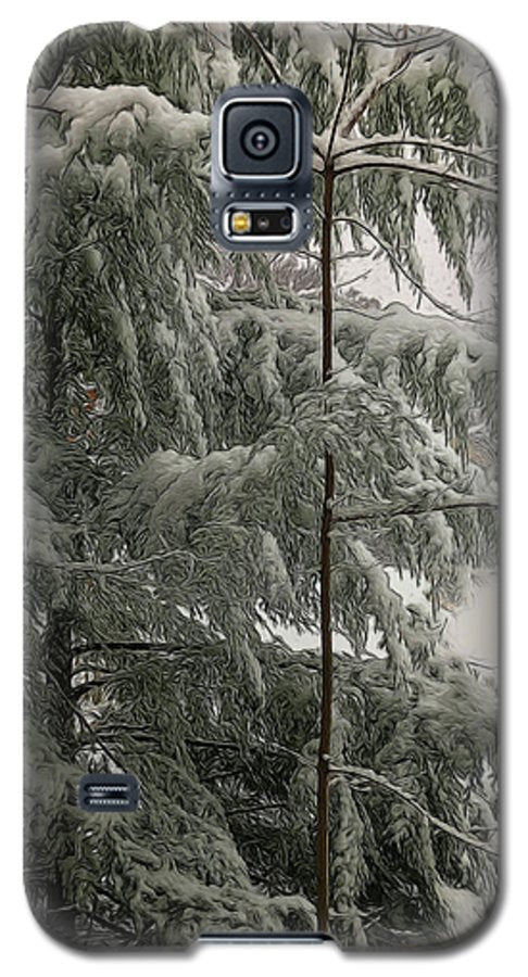 Snow Covered Pine Tree - Phone Case
