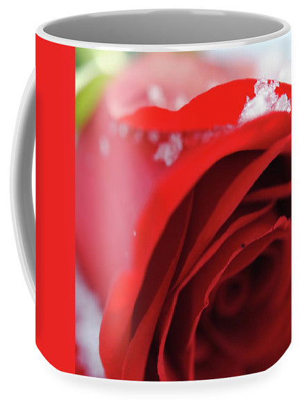 Snow Covered Rose - Mug