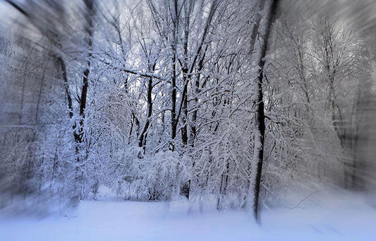 Snowscape Digital Image Download