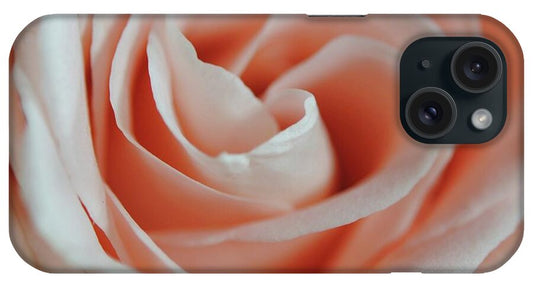 Soft Pink Rose Close Up - Phone Case