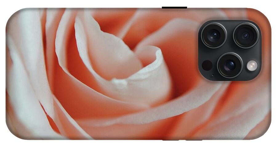 Soft Pink Rose Close Up - Phone Case