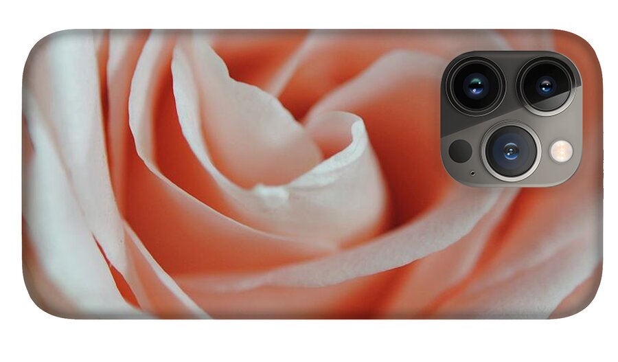 Soft Pink Rose Close Up - Phone Case