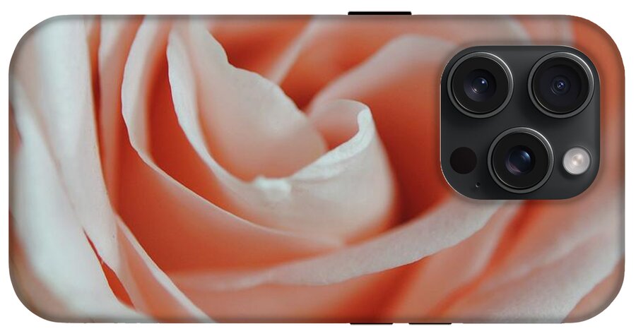 Soft Pink Rose Close Up - Phone Case