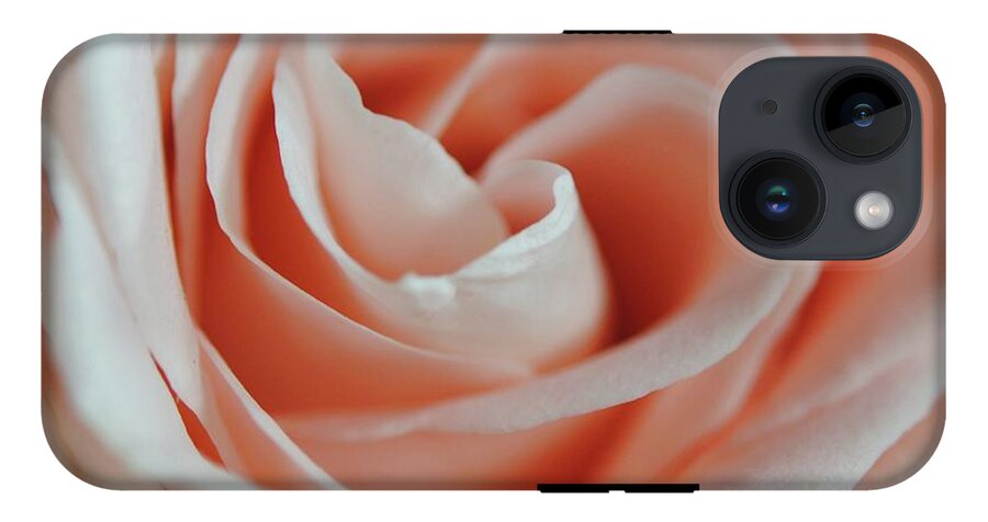 Soft Pink Rose Close Up - Phone Case