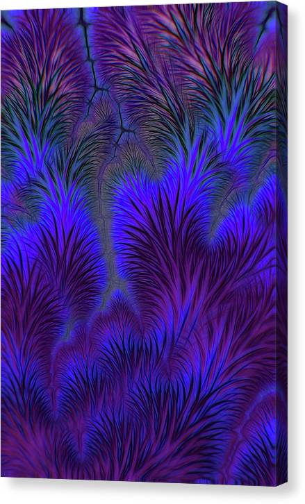 Soft Prickly - Canvas Print