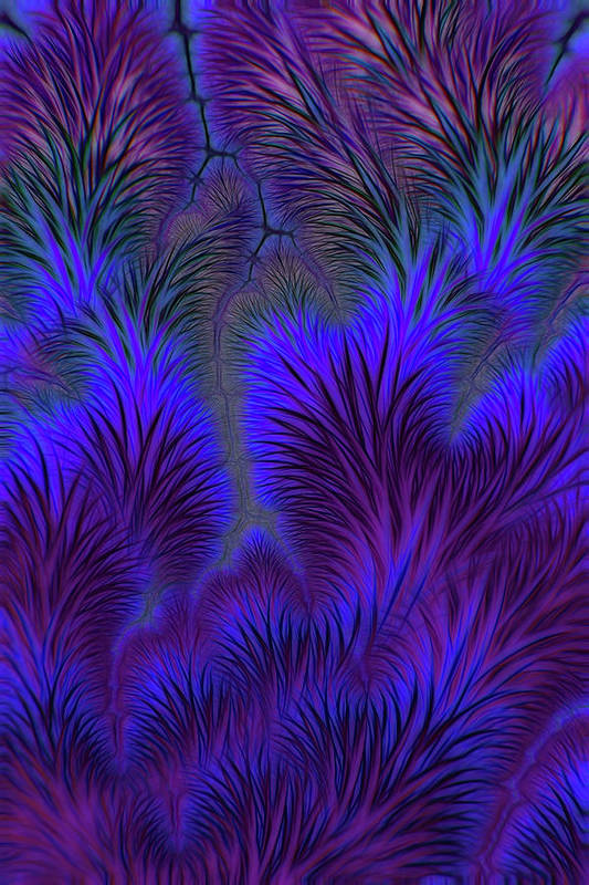 Soft Prickly - Art Print