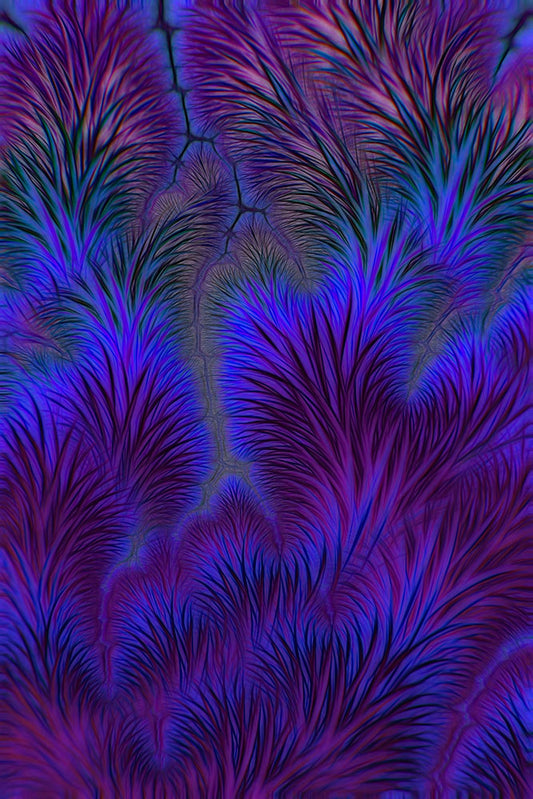 Soft prickly Digital Image Download