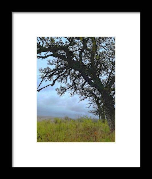 Spring Tree Buds - Framed Print