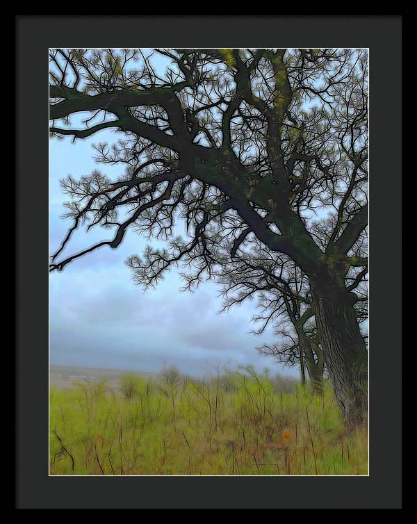 Spring Tree Buds - Framed Print
