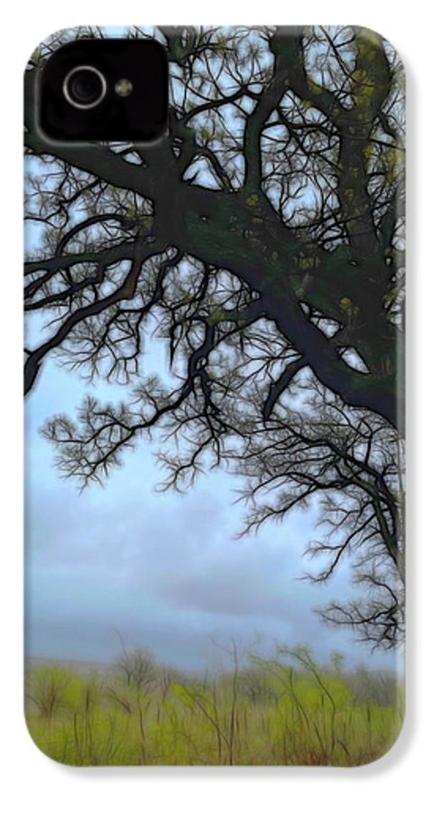Spring Tree Buds - Phone Case