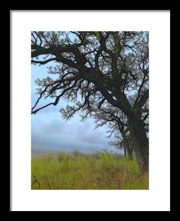 Spring Tree Buds - Framed Print
