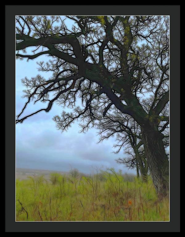 Spring Tree Buds - Framed Print