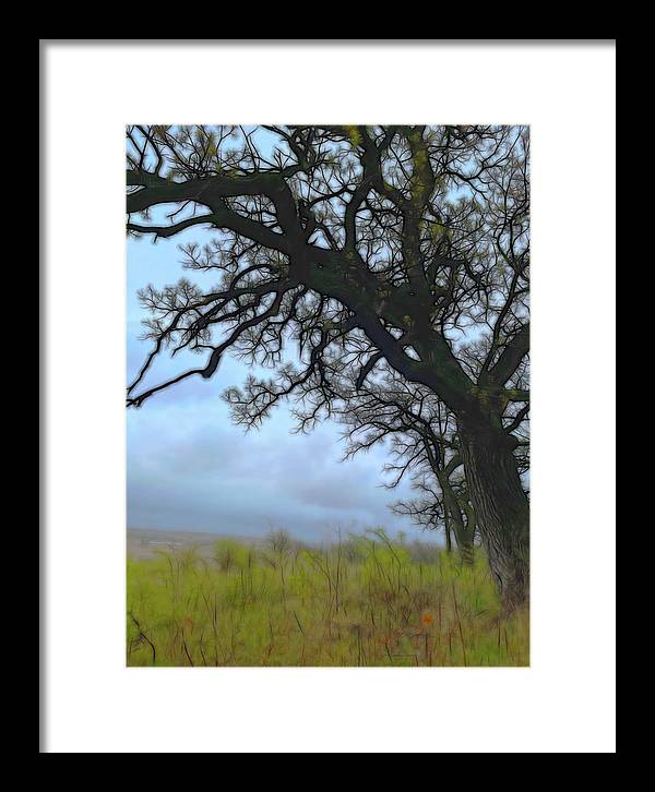 Spring Tree Buds - Framed Print